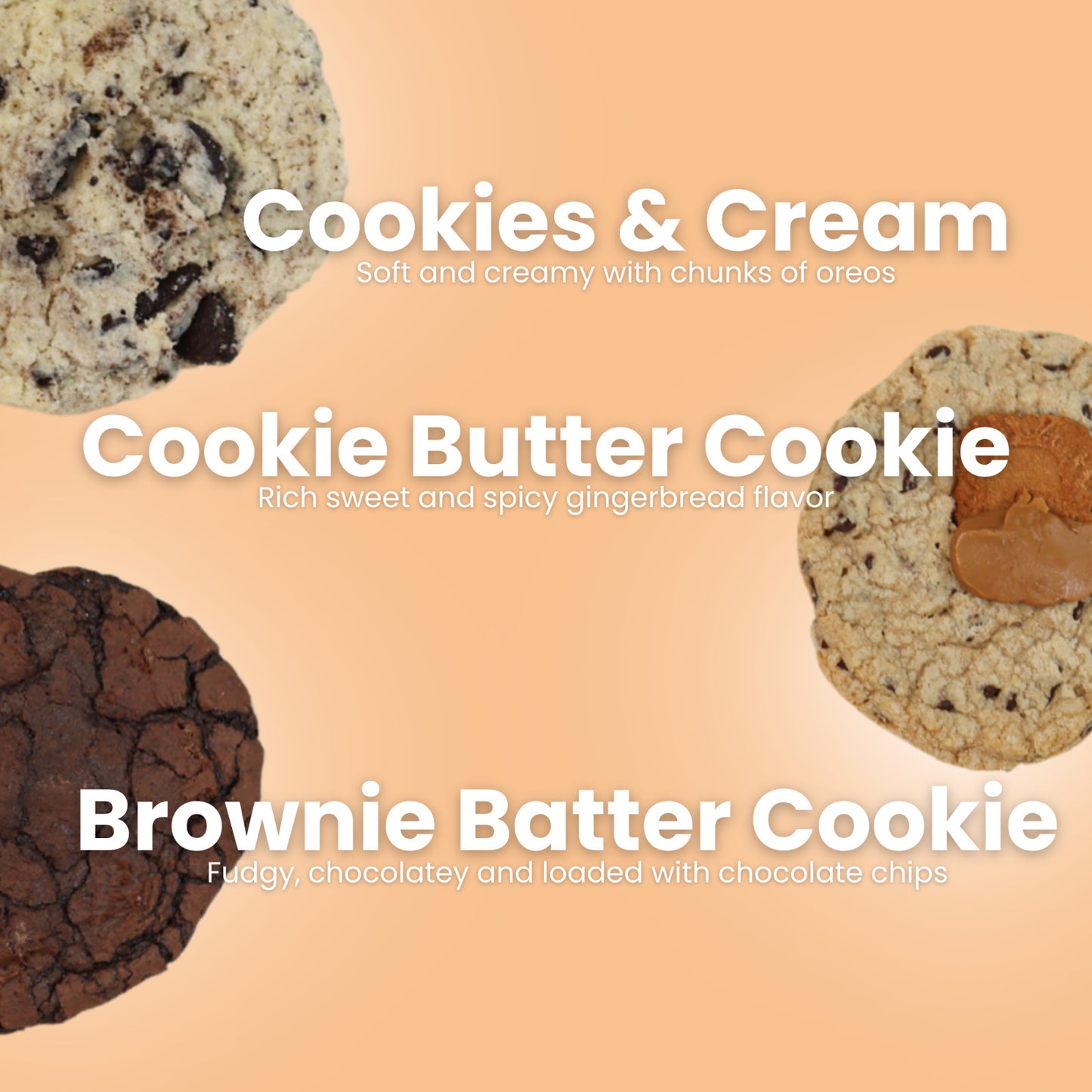 Chocolate Crinkle Cookies Bakery Fresh Gourmet Soft Delicious Cookies 12 Cookies