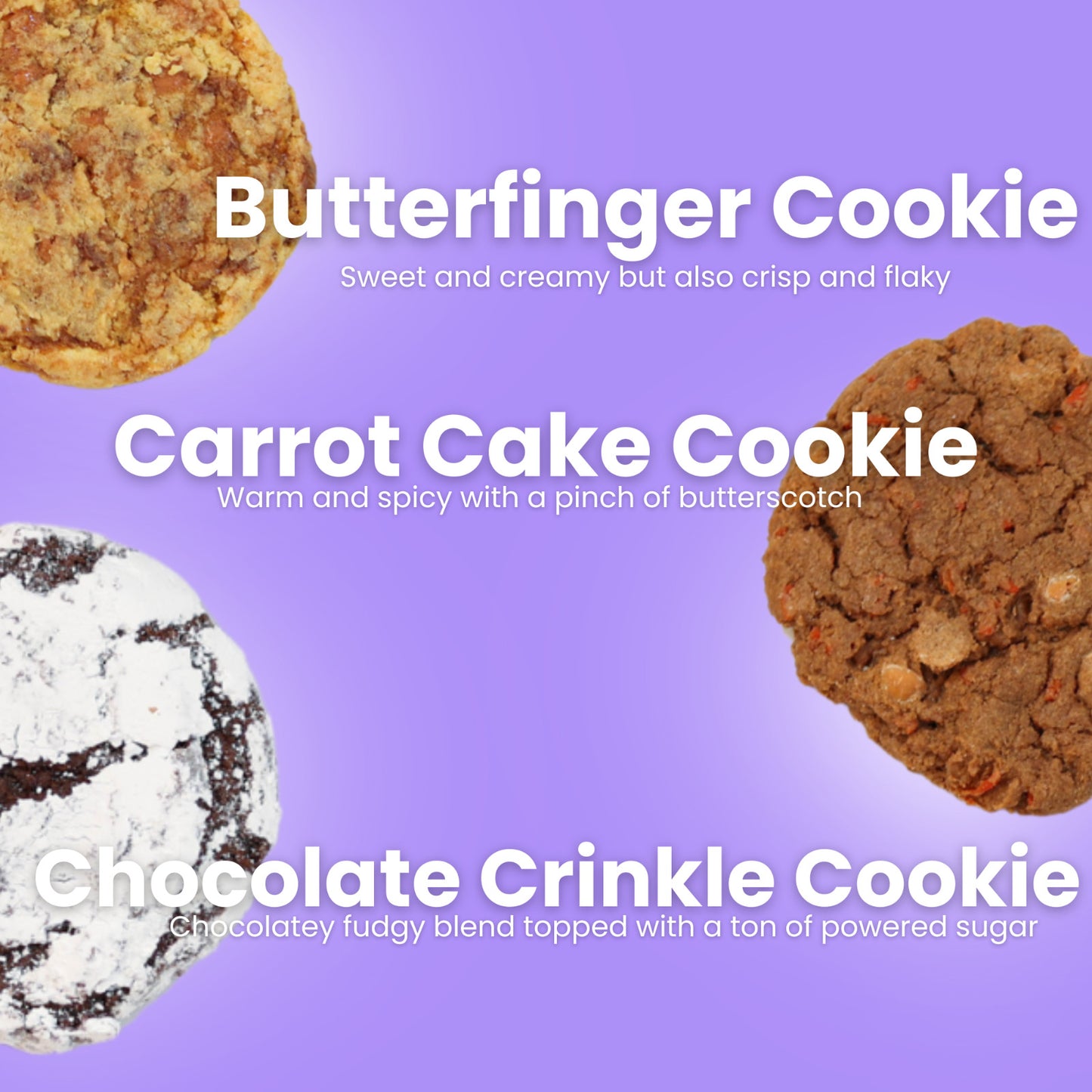 Chocolate Crinkle Cookies Bakery Fresh Gourmet Soft Delicious Cookies 12 Cookies