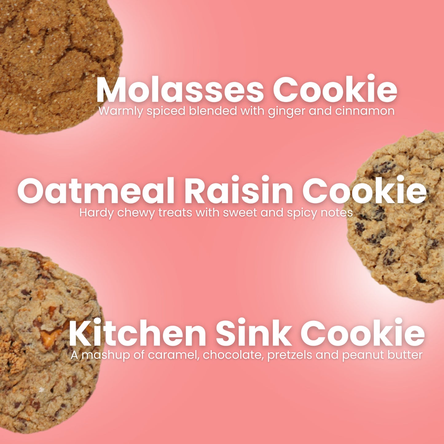 Chocolate Crinkle Cookies Bakery Fresh Gourmet Soft Delicious Cookies 12 Cookies
