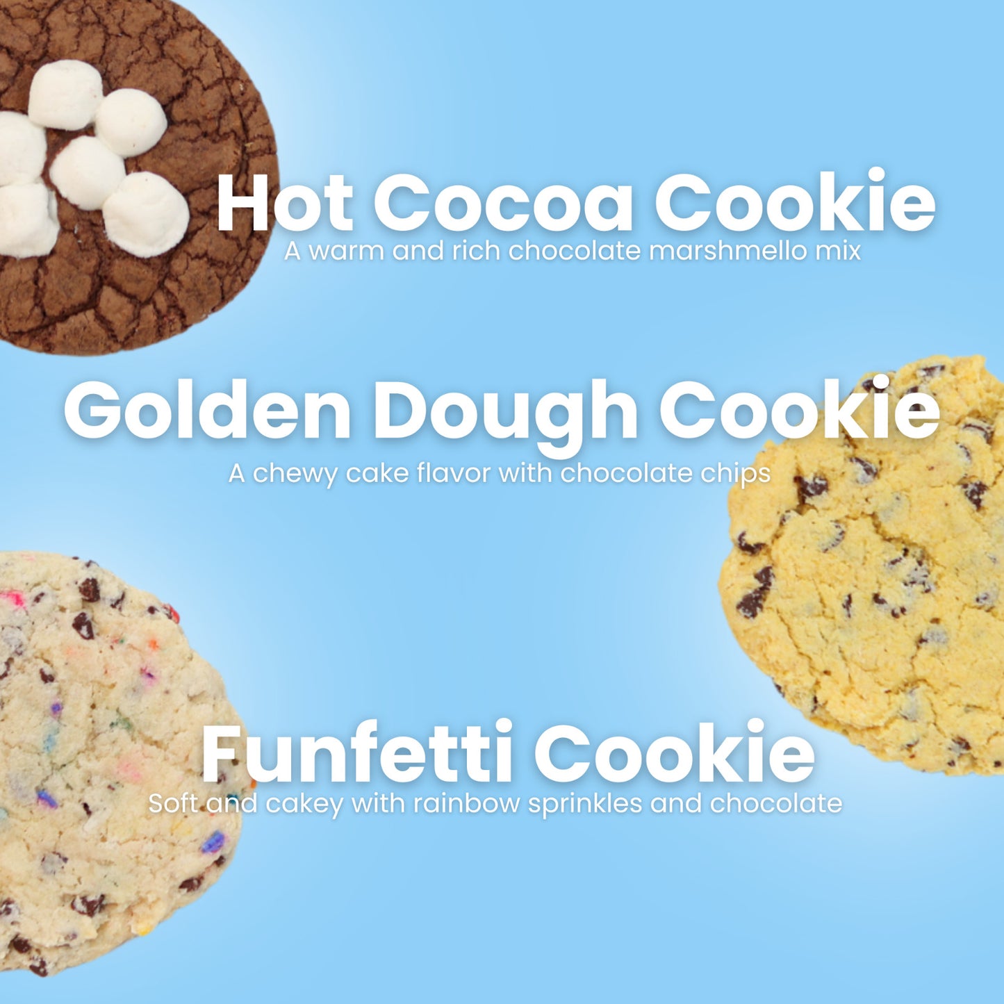 Chocolate Crinkle Cookies Bakery Fresh Gourmet Soft Delicious Cookies 12 Cookies