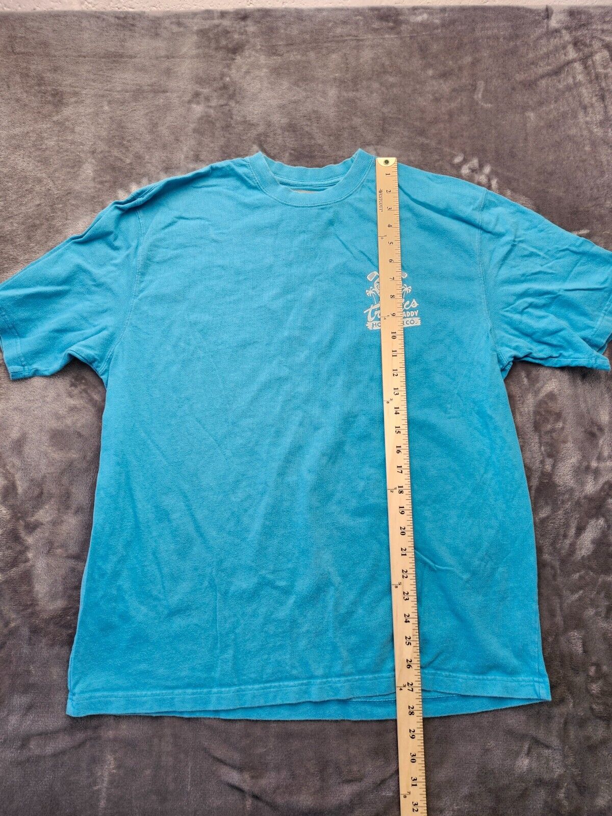 Hollister Co. Pacific Merchants Blue tee shirt size Large